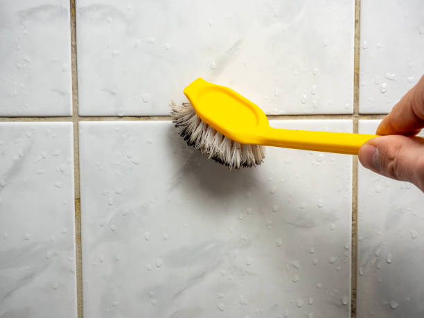 Best Affordable Mold Removal  in Doffing, TX