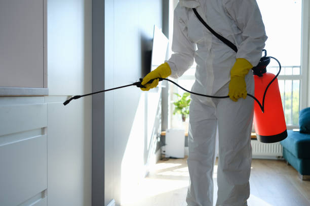 Best Residential Mold Removal  in Doffing, TX