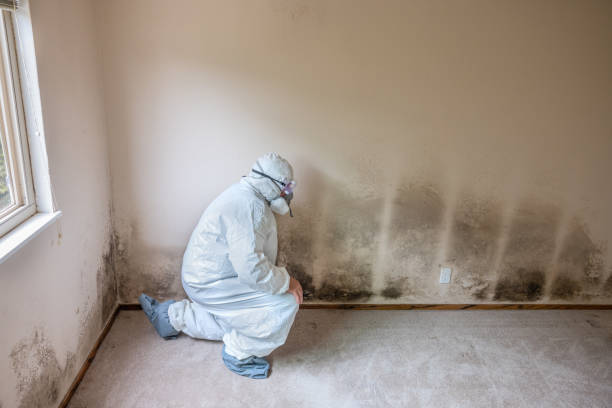 Best Mold Testing  in Doffing, TX