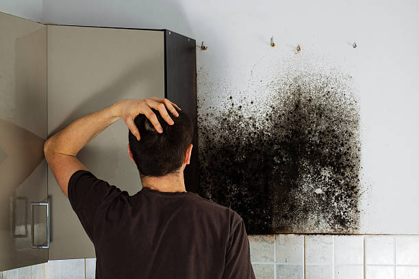 Best Mold Remediation  in Doffing, TX
